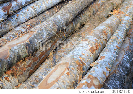 Birch log texture. Stacked tree logs. Logging and forest felling concept. Timber harvesting. 139187198