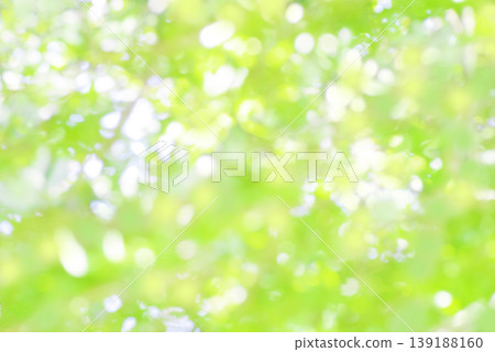 鮮嫩的綠葉,散景效果,背景。 鮮嫩的綠葉,散景效果,背景。 139188160