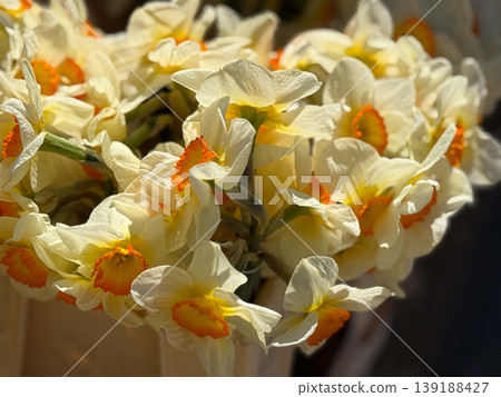 Cream daffodil bouquet with orange trumpets in close sunlight at a flower stall. Spring bloom, narcissus detail, floral retail, petal texture, seasonal decoration and market freshness. Cream daffodil bouquet with orange trumpets in close sunlight at a flower stall. Spring bloom, narcissus detail, floral retail, petal texture, seasonal decoration and market freshness. 139188427