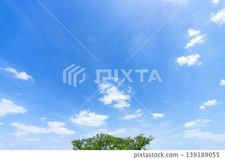 Springtime blue sky, clouds, and fresh green leaves 139189055