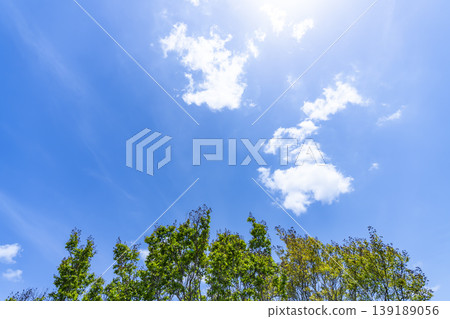 Springtime blue sky, clouds, and fresh green leaves Springtime blue sky, clouds, and fresh green leaves 139189056