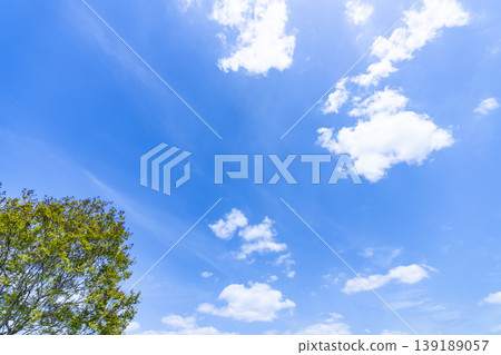 Springtime blue sky, clouds, and fresh green leaves 139189057