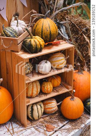 Wooden Stand with Colorful Pumpkins at Rustic Autumn Farm Market Wooden Stand with Colorful Pumpkins at Rustic Autumn Farm Market 139189152