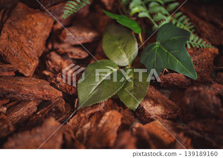 Artistic shot of teepee top details surrounded by plants under warm lighting Artistic shot of teepee top details surrounded by plants under warm lighting 139189160
