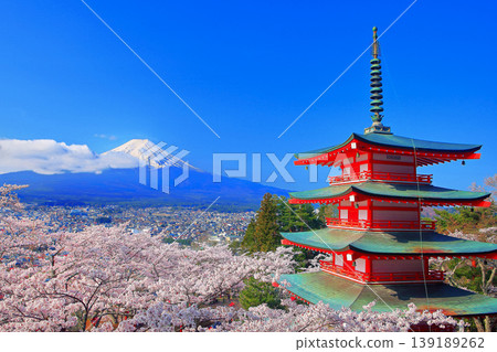 [Yamanashi Prefecture] Springtime view of Mt. Fuji and a five-story pagoda (Arakurayama Sengen Park, cherry blossoms in full bloom) 139189262