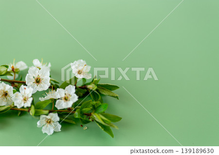 gentle spring floral background with white blossoms and soft green tones gentle spring floral background with white blossoms and soft green tones 139189630