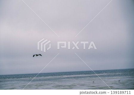[Wakkanai City] Scenery of Cape Soya, Japan's northernmost point 139189711