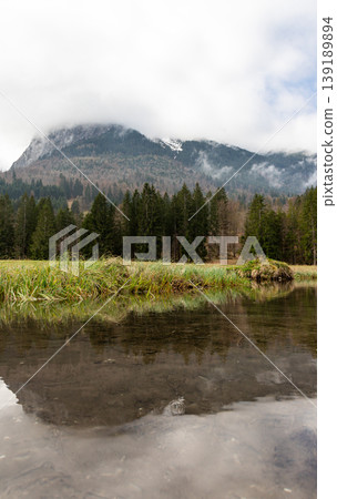 Misty forest landscape with mountain and low clouds in Bavaria Germany Misty forest landscape with mountain and low clouds in Bavaria Germany 139189894
