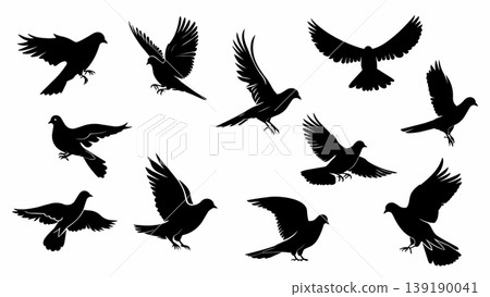 Flying Bird Silhouettes in Various Wing Positions Flying Bird Silhouettes in Various Wing Positions 139190041