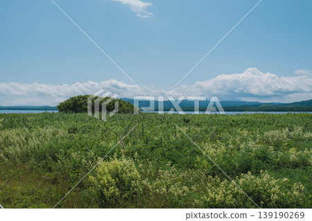 【北海道】北海道露營地的景色,廣闊的自然景觀在此展開。 【北海道】北海道露營地的景色,廣闊的自然景觀在此展開。 139190269