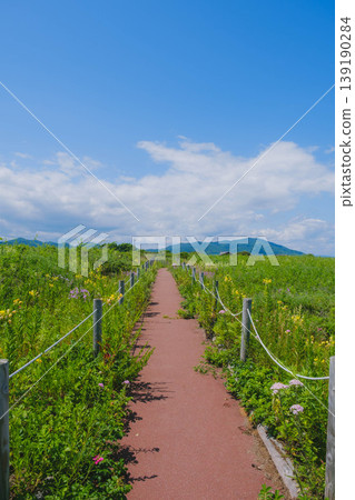 [Hokkaido] Scenery of campsites in Hokkaido, where vast natural landscapes unfold. 139190284