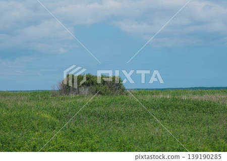 [Hokkaido] Scenery of campsites in Hokkaido, where vast natural landscapes unfold. 139190285