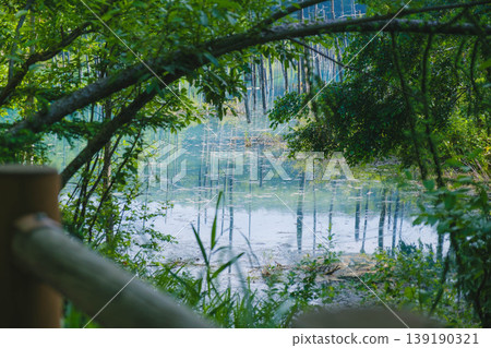[Blue Pond] A bright blue pond located in Hokkaido. 139190321
