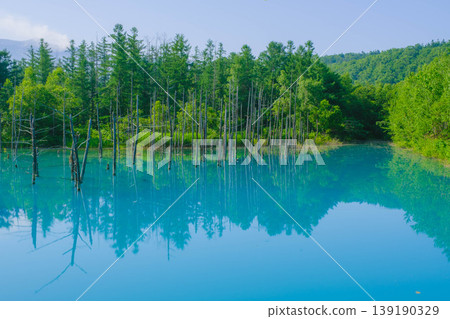 【藍池】位於北海道的湛藍色池塘。 139190329