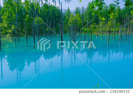 [Blue Pond] A bright blue pond located in Hokkaido. 139190332