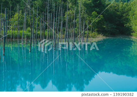 [Blue Pond] A beautiful, deep blue pond in Biei Town, Hokkaido. 139190382