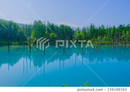 [Blue Pond] A beautiful, deep blue pond in Biei Town, Hokkaido. 139190383