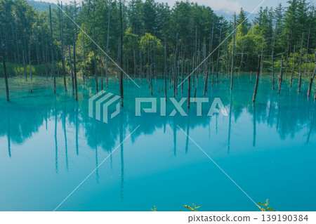 [Blue Pond] A beautiful, deep blue pond in Biei Town, Hokkaido. 139190384
