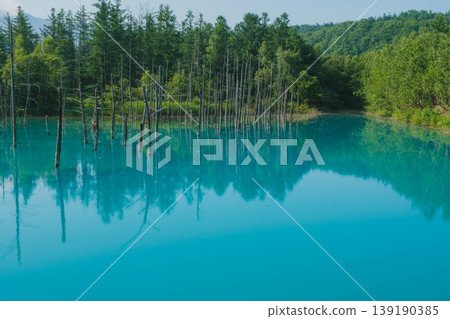 [Blue Pond] A beautiful, deep blue pond in Biei Town, Hokkaido. 139190385