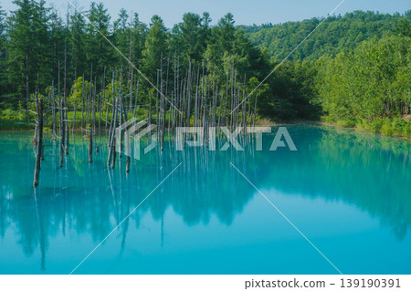 [Blue Pond] A beautiful, deep blue pond in Biei Town, Hokkaido. 139190391