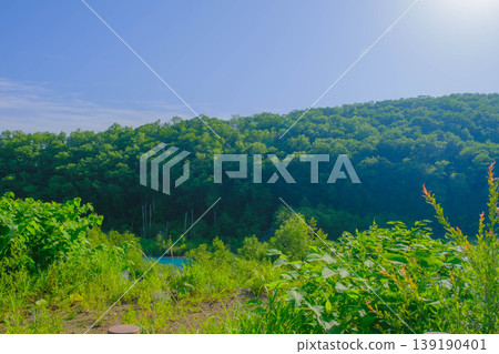 【藍色池塘】北海道美瑛町一個美麗的深藍色池塘。 139190401