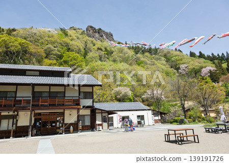 群馬縣中之條町禮山竹山路邊站（綠意盎然） 139191726