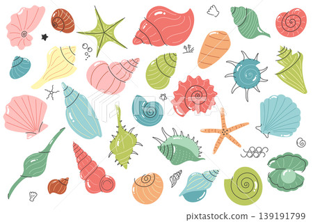 Seashell set collection with shells starfish and marine elements in hand drawn doodle style for summer decor branding and packaging 139191799
