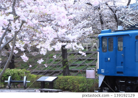 EF64-18型電力機車靜靜地停放在勝沼武道峽站，周圍環繞著盛開的櫻花。 （攝於2026年4月4日） 139192129
