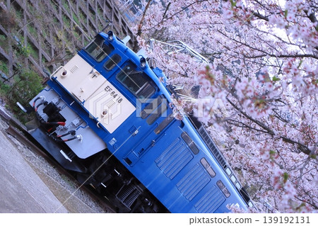 EF64-18 electric locomotive stands quietly at Katsunuma Budokyo Station, surrounded by cherry blossoms in full bloom. (Photographed on April 4, 2026) EF64-18 electric locomotive stands quietly at Katsunuma Budokyo Station, surrounded by cherry blossoms in full bloom. (Photographed on April 4, 2026) 139192131