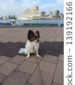 一個小小冒險家遊覽了一座港口小鎮－海邊的絕佳地點 139192166