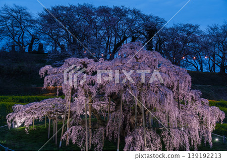 點亮Takizakura 139192213