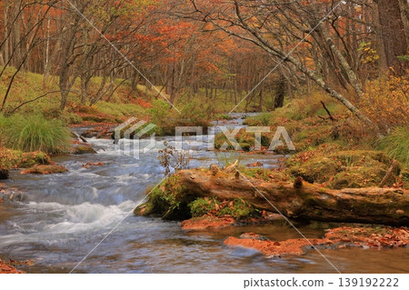 Oku-Nikko dyed in autumn leaves Oku-Nikko dyed in autumn leaves 139192222