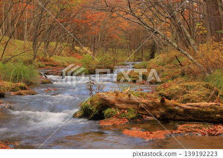 Oku-Nikko dyed in autumn leaves Oku-Nikko dyed in autumn leaves 139192223