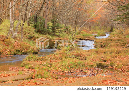 Oku-Nikko dyed in autumn leaves Oku-Nikko dyed in autumn leaves 139192229
