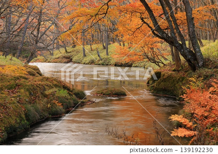Oku-Nikko dyed in autumn leaves Oku-Nikko dyed in autumn leaves 139192230