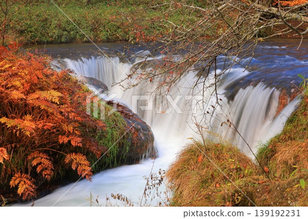 Oku-Nikko dyed in autumn leaves Oku-Nikko dyed in autumn leaves 139192231