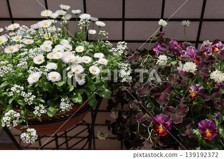 入口前種植花卉和盆栽 139192372