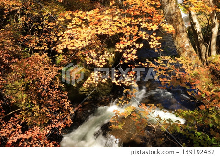 Ryuzu Falls in Oku-Nikko dyed in autumn leaves Ryuzu Falls in Oku-Nikko dyed in autumn leaves 139192432