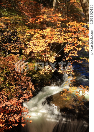Ryuzu Falls in Oku-Nikko dyed in autumn leaves Ryuzu Falls in Oku-Nikko dyed in autumn leaves 139192433