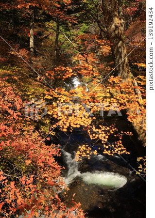 Ryuzu Falls in Oku-Nikko dyed in autumn leaves 139192434