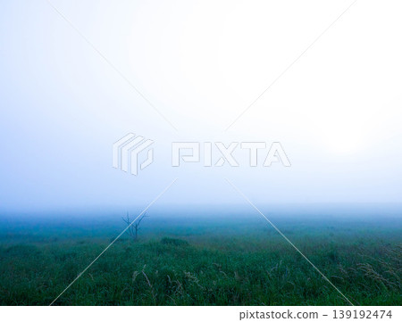 北海道野付半島的夢幻夏日景象，海霧籠罩整個地區。 139192474