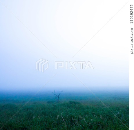 A fantastical summer scene of the Notsuke Peninsula in Hokkaido, where sea fog covers the entire area. A fantastical summer scene of the Notsuke Peninsula in Hokkaido, where sea fog covers the entire area. 139192475