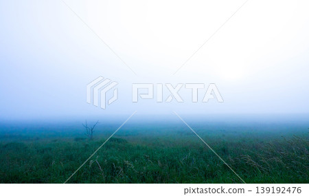 北海道野付半島的夢幻夏日景象，海霧籠罩整個地區。 139192476