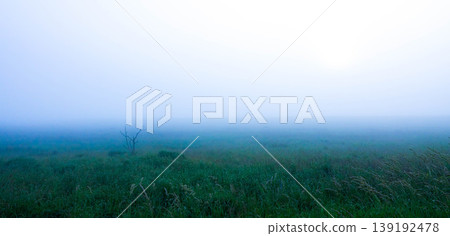 A fantastical summer scene of the Notsuke Peninsula in Hokkaido, where sea fog covers the entire area. 139192478