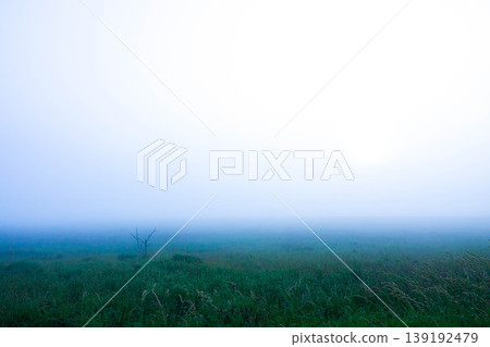 A fantastical summer scene of the Notsuke Peninsula in Hokkaido, where sea fog covers the entire area. 139192479