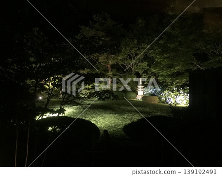 晚上日本花園 晚上日本花園 139192491
