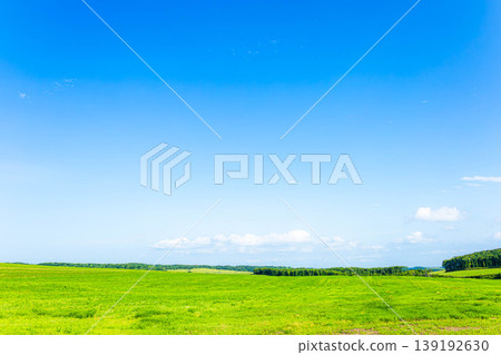 A typical Hokkaido landscape I found while driving through the eastern region of Hokkaido in the summer. A typical Hokkaido landscape I found while driving through the eastern region of Hokkaido in the summer. 139192630