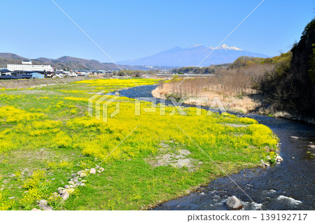 Hosaka Bridge / View upstream from Shiokawa River (towards the Yatsugatake Mountains) (Nirasaki City, Yamanashi Prefecture) [2026.4] 139192717