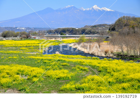 Hosaka Bridge / View upstream from Shiokawa River (towards the Yatsugatake Mountains) (Nirasaki City, Yamanashi Prefecture) [2026.4] 139192719