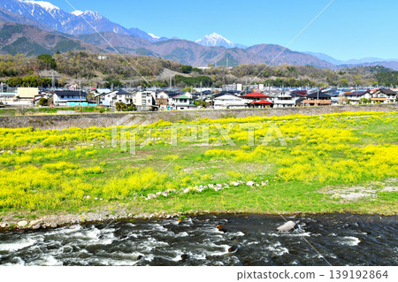 Hosaka Bridge / View upstream from the Shiokawa River towards the right bank (Nirasaki City, Yamanashi Prefecture) [2026.4] 139192864